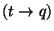 $(t \rightarrow q)$