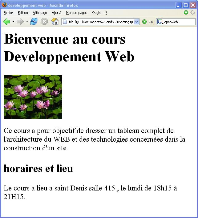 la page sur un ecran graphique