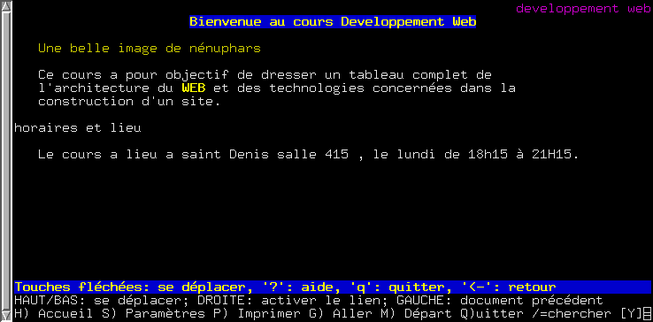 la page sur un navidateur en mode texte