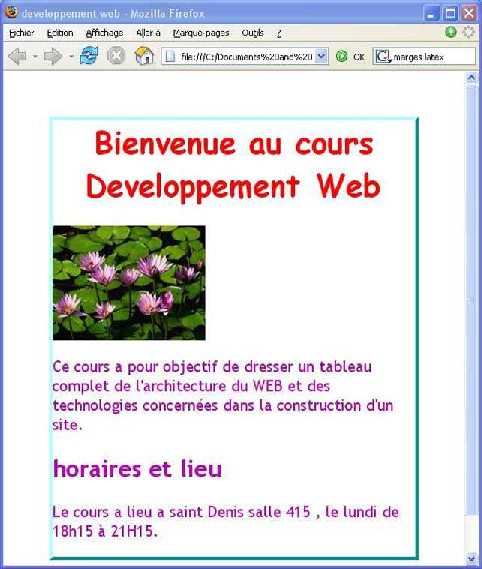 l'affichage avec le css